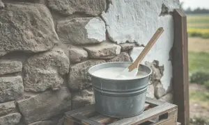 Jak przygotować farbę wapienną? Prosty przepis krok po kroku