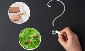 Plama na koszuli i ślimaki na liściach. Czy kreda malarska pomoże?