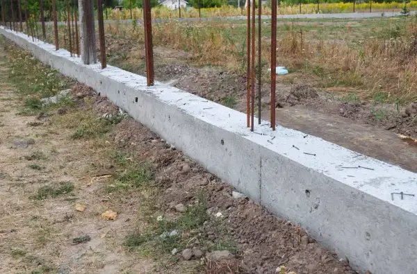 Solidny fundament pod ogrodzenie, z wystającymi prętami zbrojeniowymi, czeka na dalsze prace budowlane.